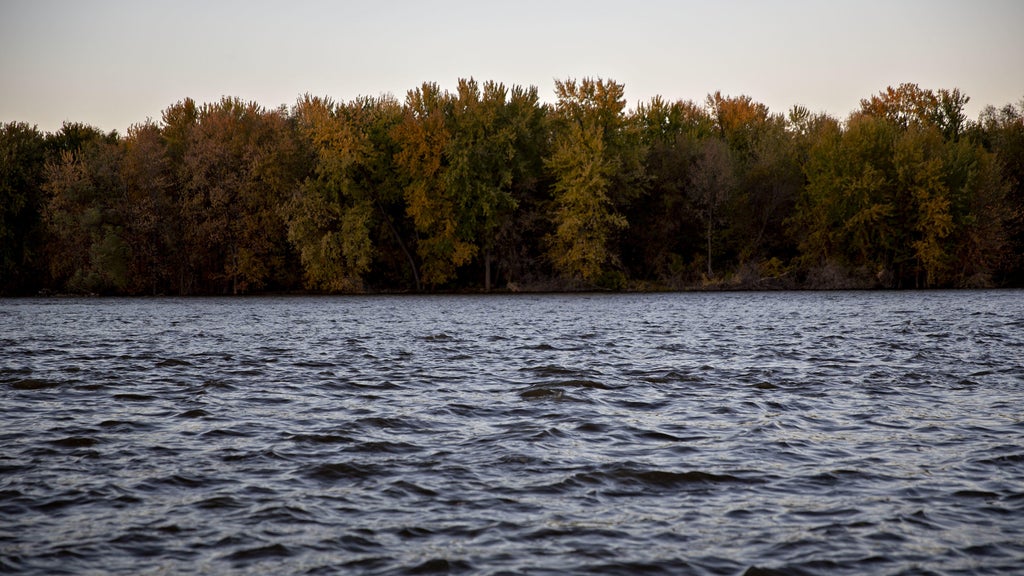Watchdog says PFAS found in 100% of Minnesota water testing sites — WCCO / CBS Minnesota, Orono Health news