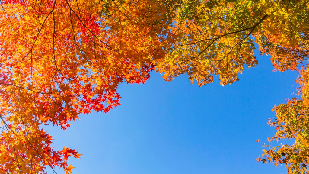 More near-record warmth Monday in Minnesota ahead of big cooldown — WCCO / CBS Minnesota, Orono Community news