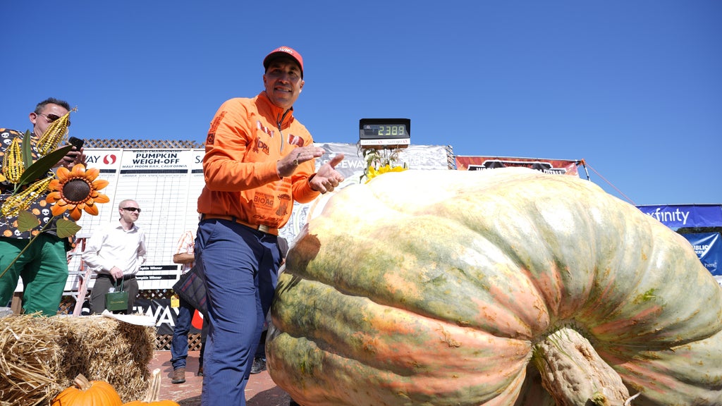 Minnesota man drives hauls giant pumpkin over 2,000 miles to California competition — WCCO / CBS Minnesota, Orono Community news