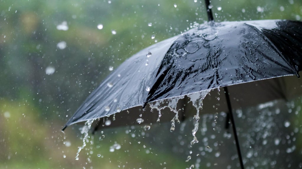 Widespread rain in Minnesota Monday; milder air returns Tuesday — WCCO / CBS Minnesota, Orono Community news