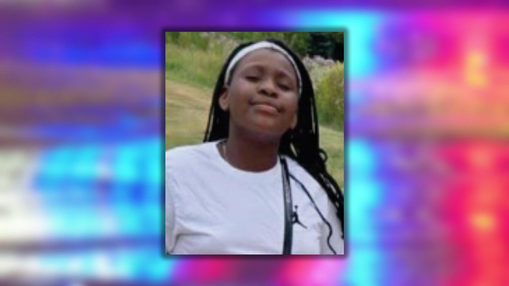 Fridley police search for 10-year-old Ava-Marie Crawford — Orono Community news