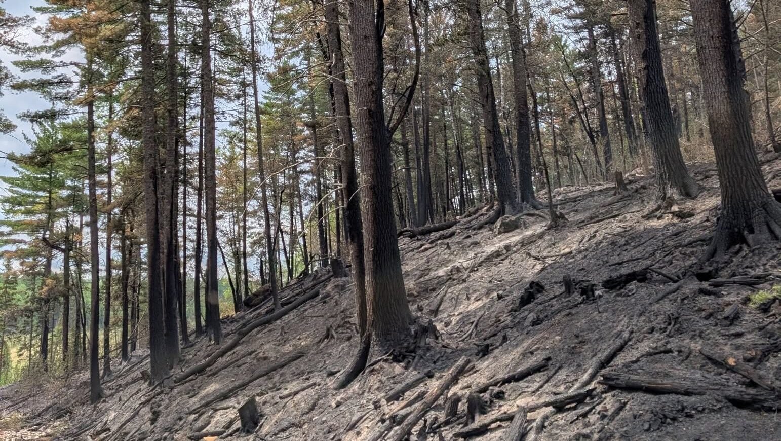 74-year-old who became separated from his family on a trail in Ely was discovered dead — KSTP 5, Orono Community news