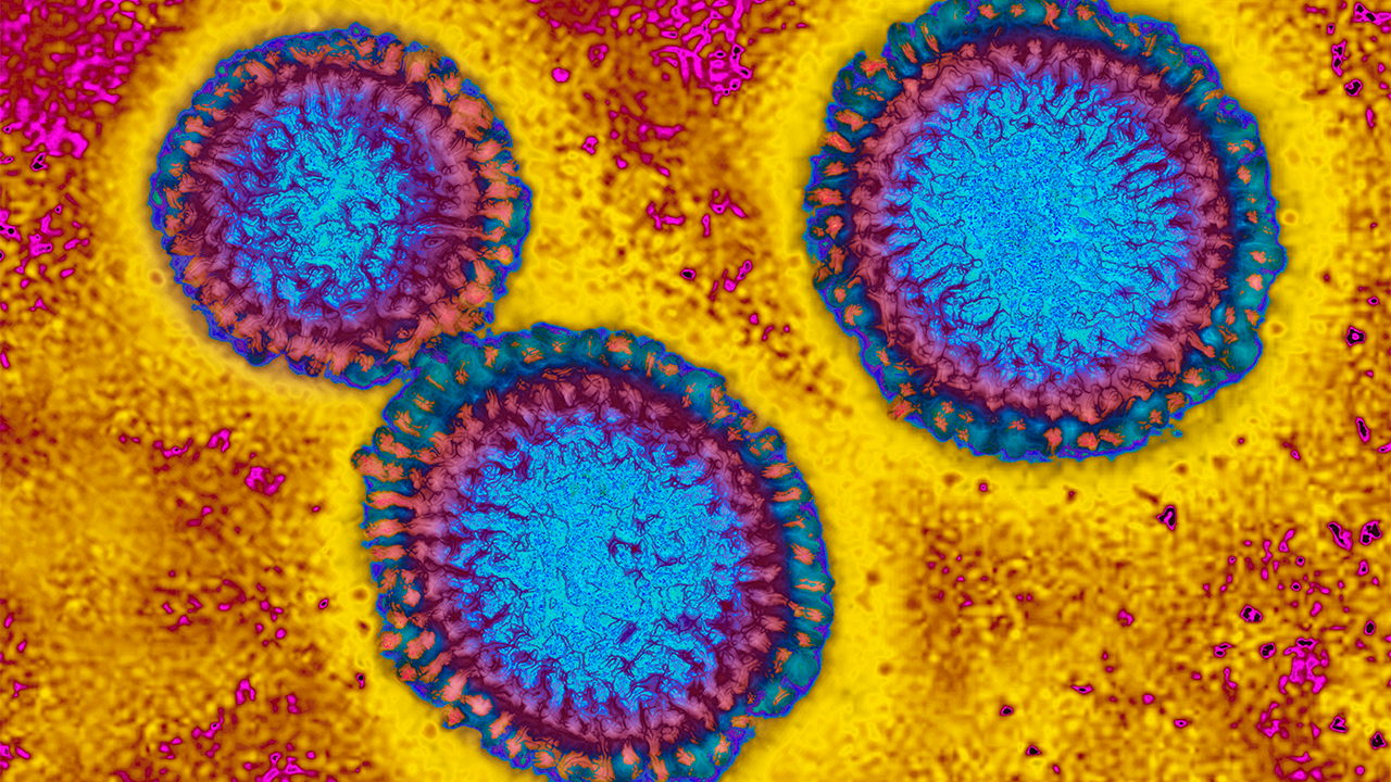 Flu hospitalizations 'slightly higher' than usual, officials urge vaccinations — FOX 9, Orono Health news