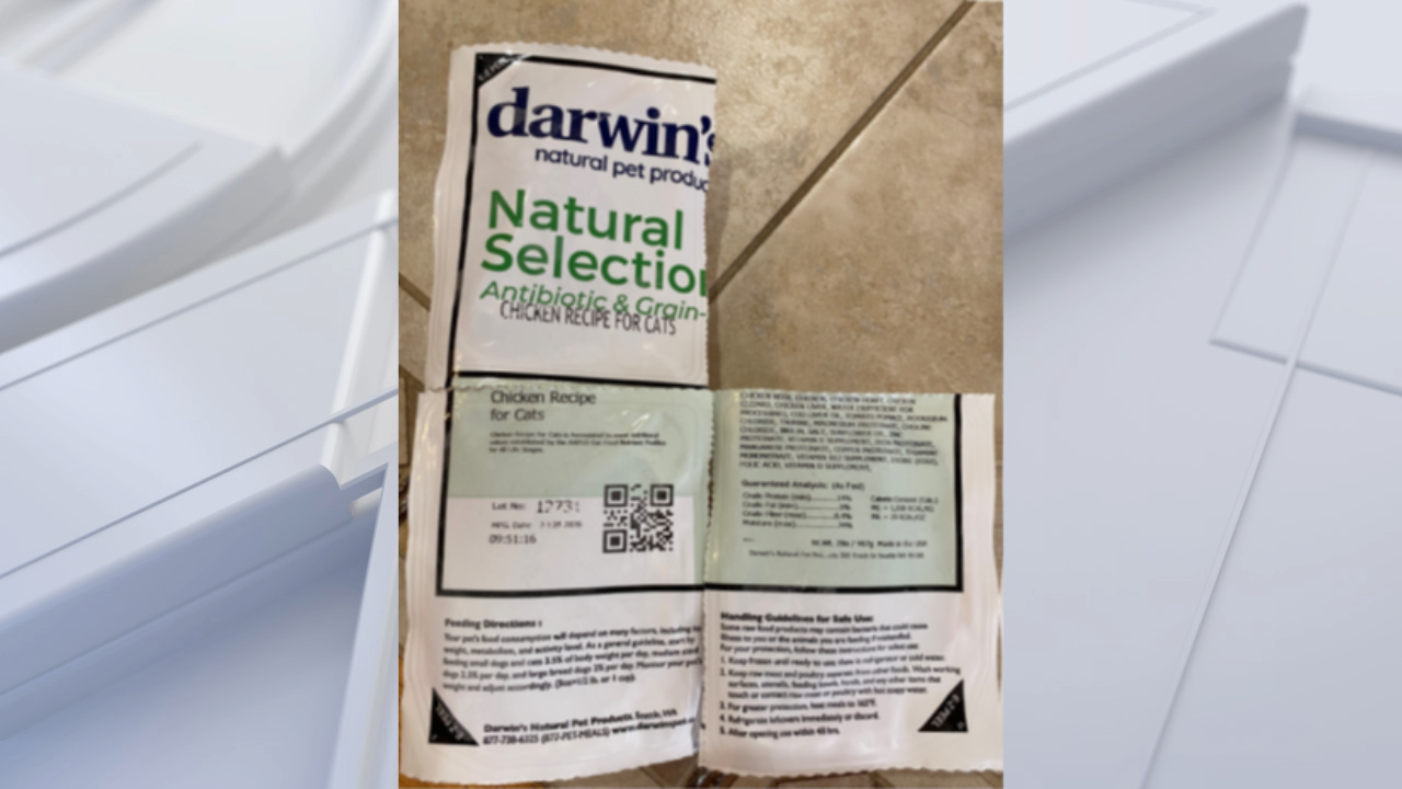 FDA warns pet owners after salmonella found in frozen cat food — Orono Community news