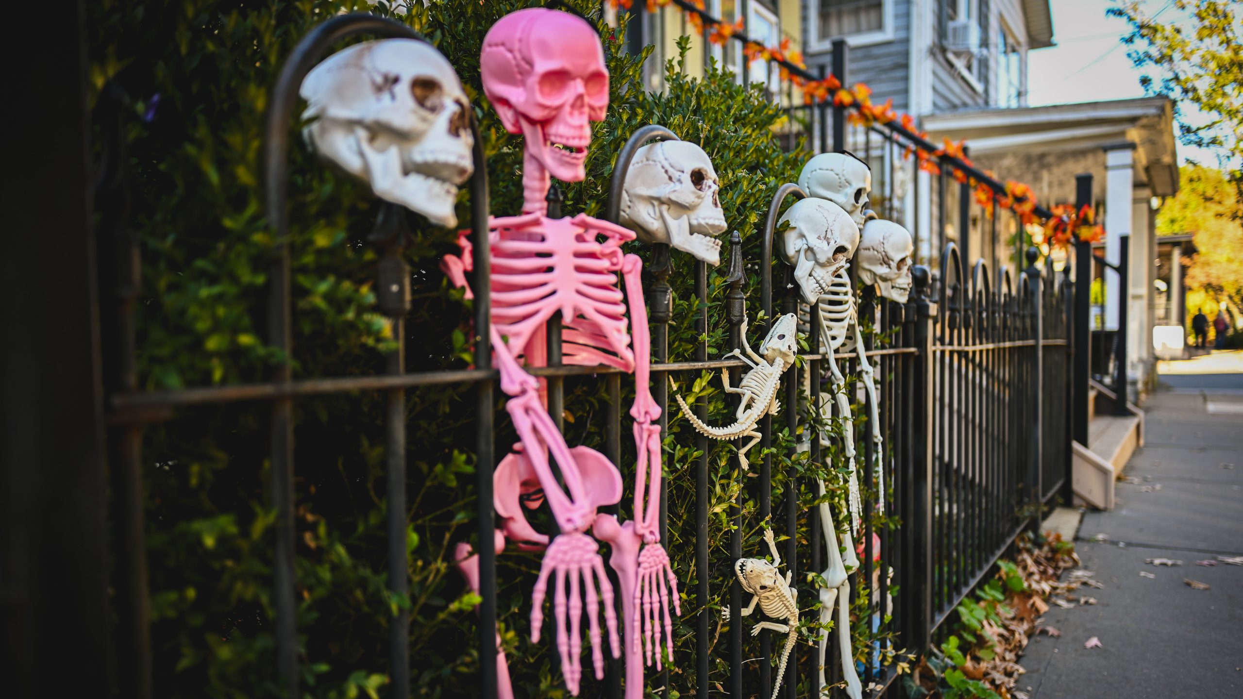 America's best cities for Halloween, ranked — FOX 9, Orono Community news