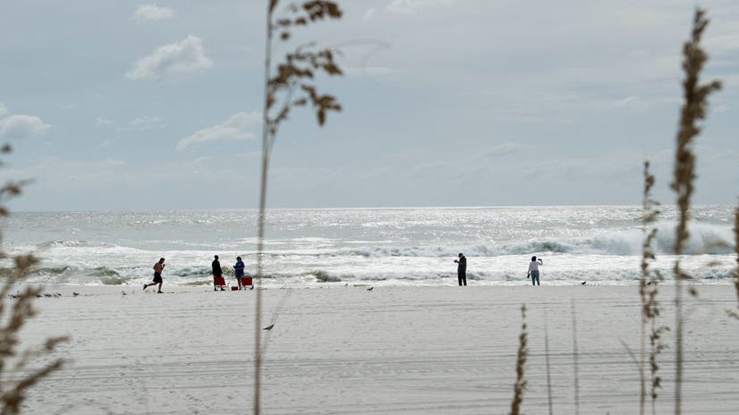 Father of 2 drowns after being caught in current trying to rescue seagull caught in fishing line — Orono Community news